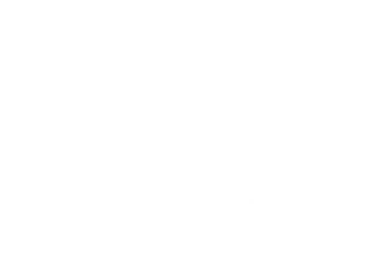 bs